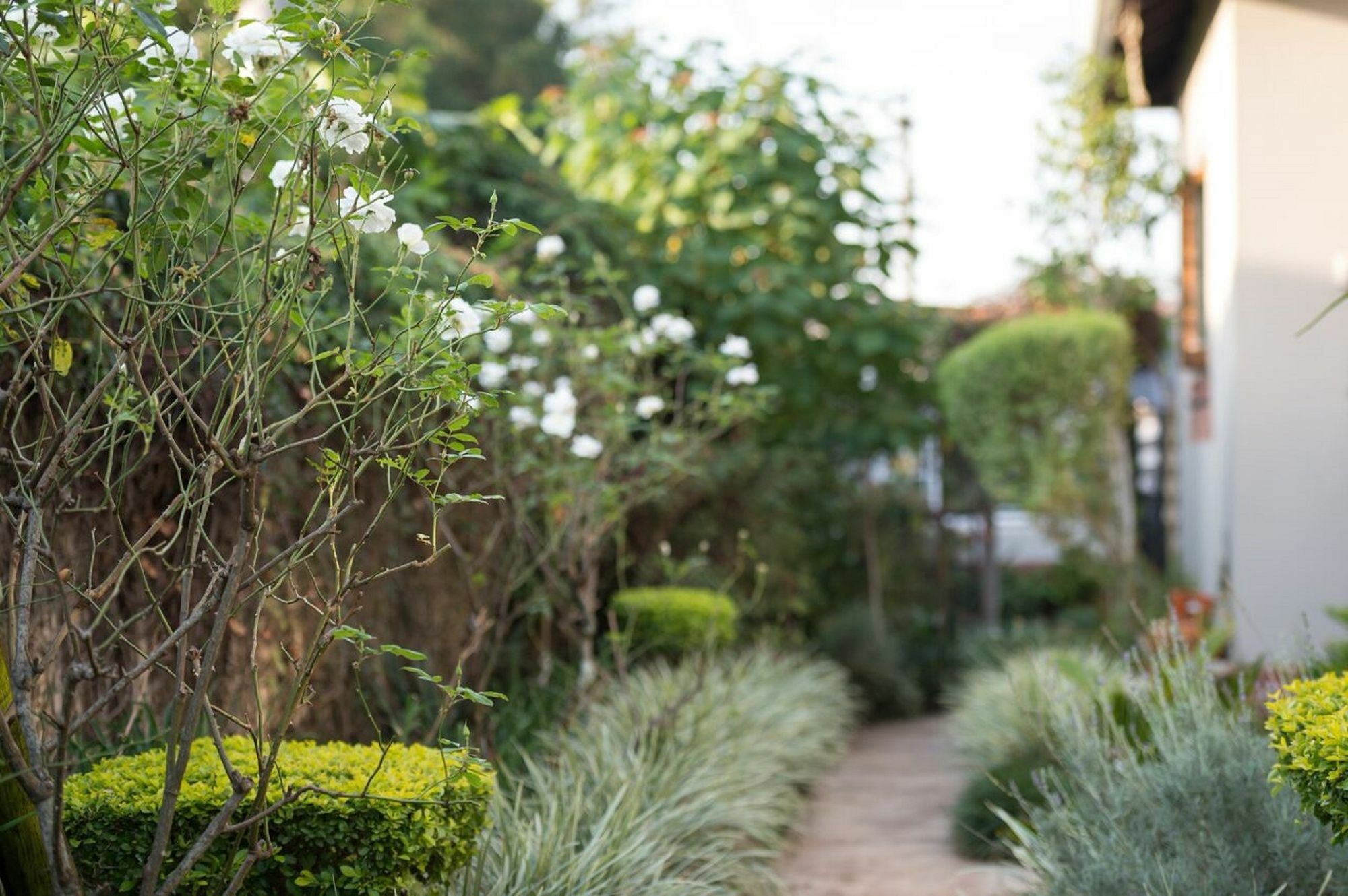 Jean-Lee Bed And Breakfast Pietermaritzburg Exterior photo