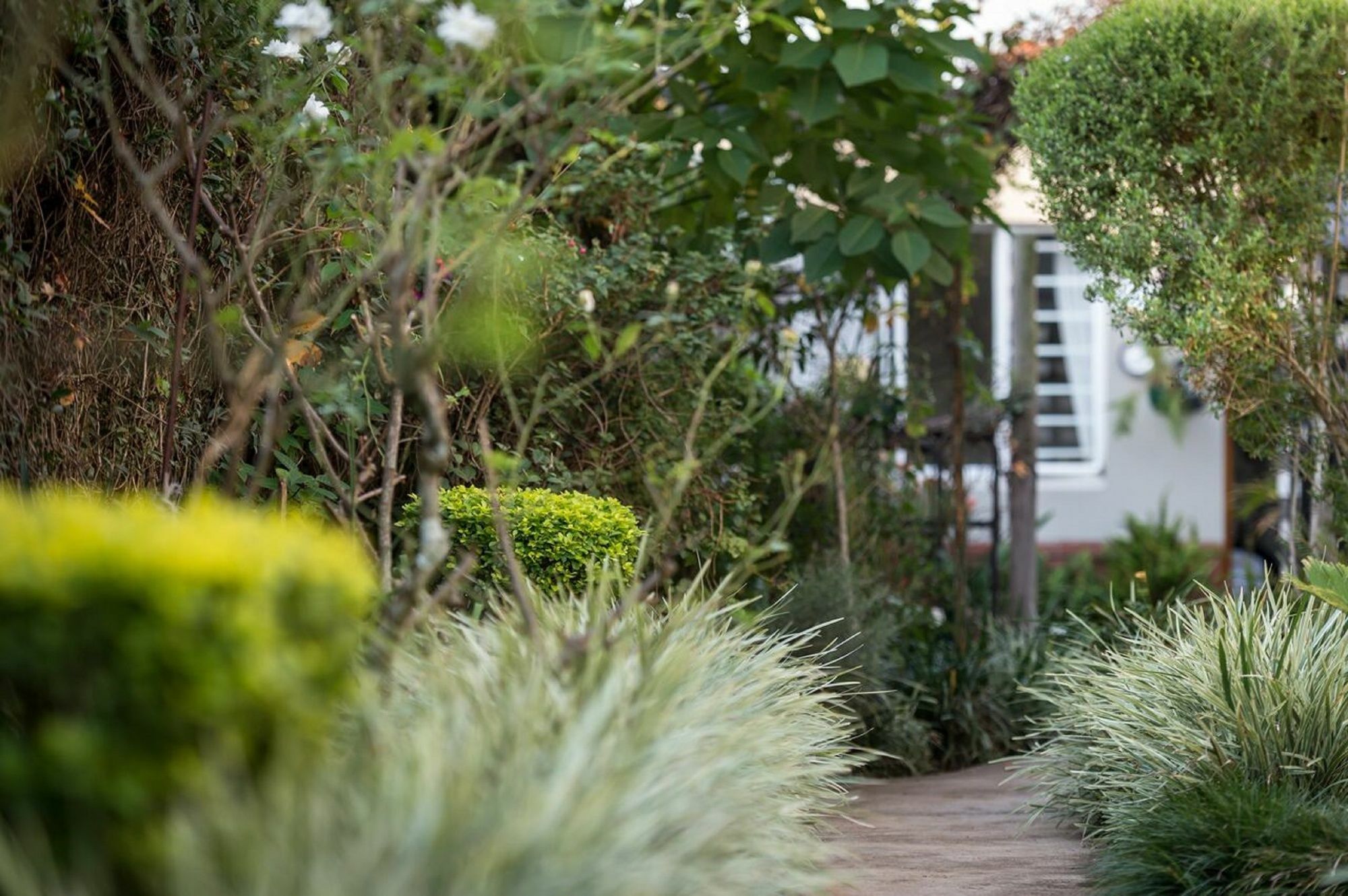 Jean-Lee Bed And Breakfast Pietermaritzburg Exterior photo